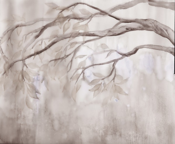 Tranquil Tree Canopy