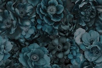 Mystical Turquoise Midnight Garden Blooms tapete