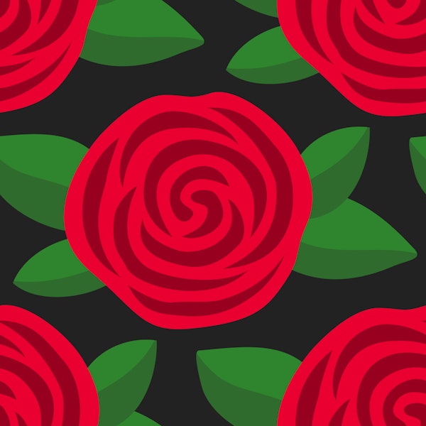 Dark red roses on black background