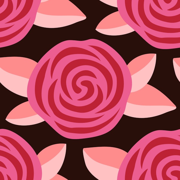 Pink roses on black background