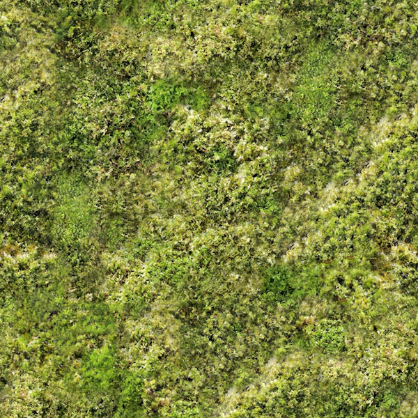 Lush Green Moss Design