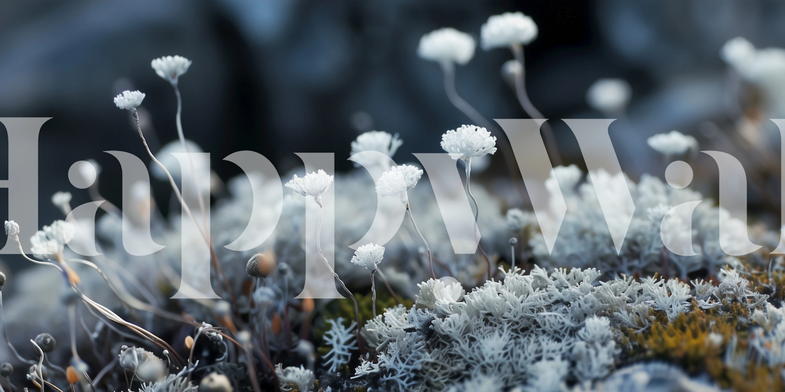 Mystical White Blossoms tapet i et rom