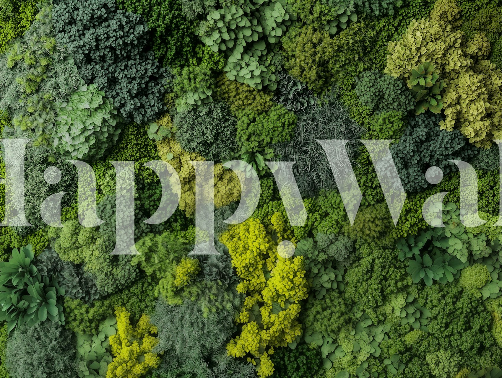 Moss Green Oasis wallpaper in a room