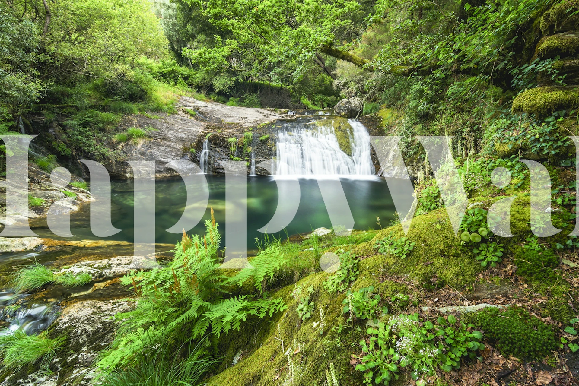 Forest spring waterfall wallpaper in a room