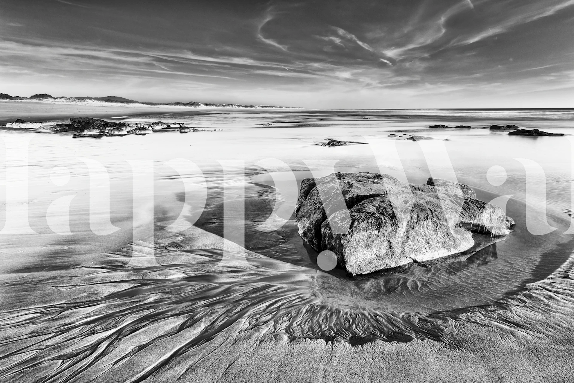 Monochrome Shoreline wallpaper in a room