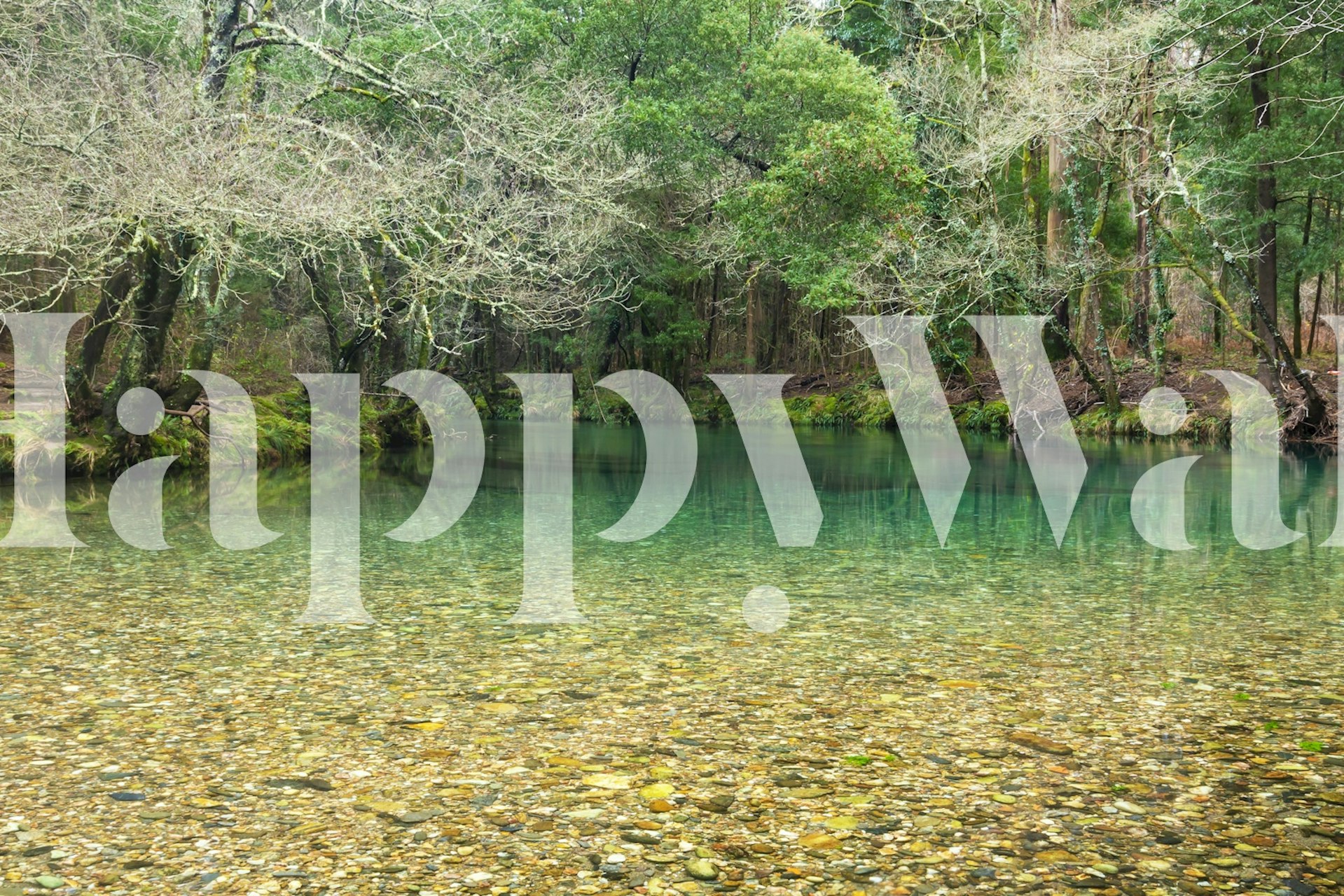 Serene emerald green river, clear water, trees reflection wallpaper