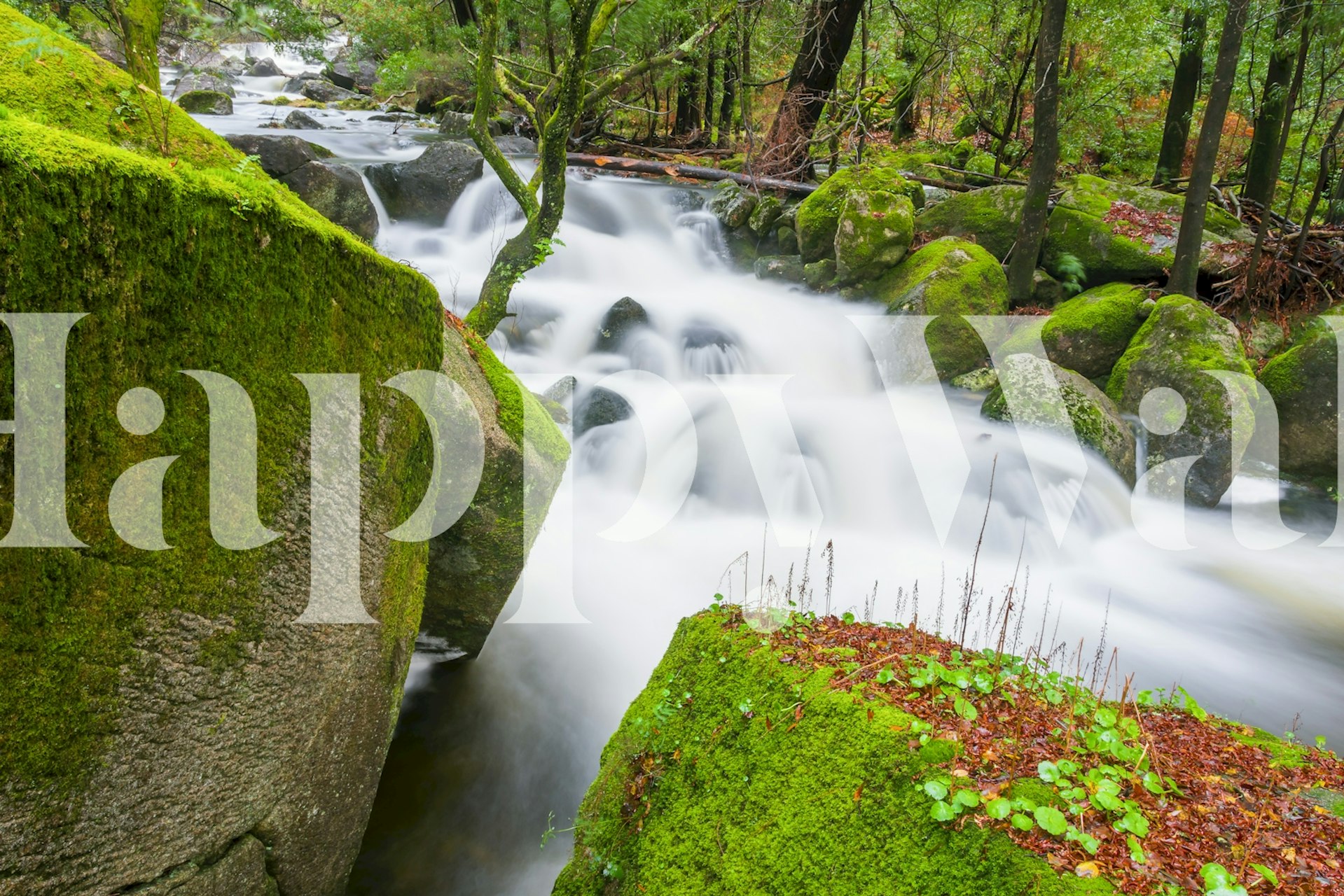 Flowing water over moss-covered rocks in green tones wallpaper