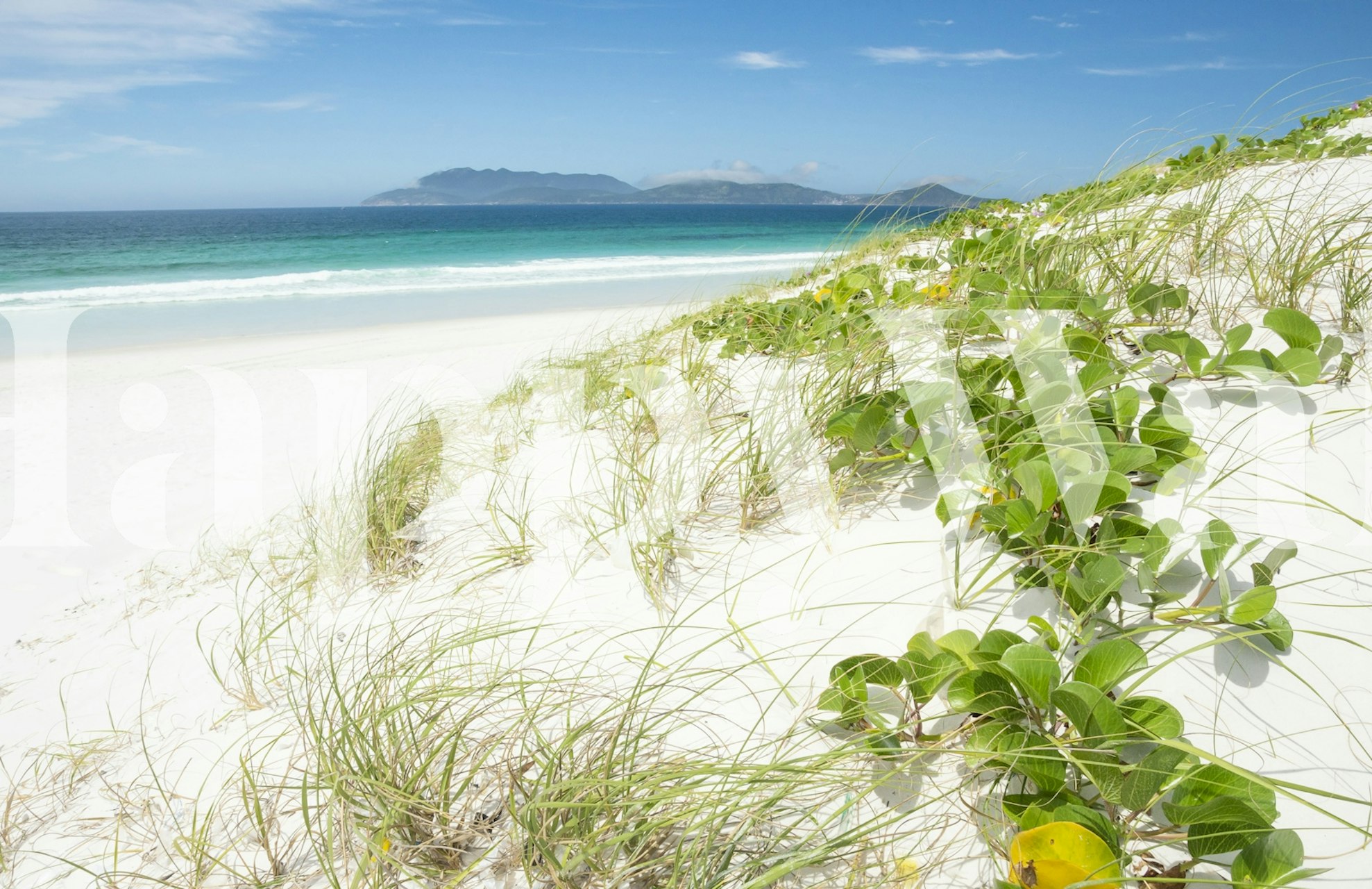 Beach landscape with green foliage and white sand wallpaper