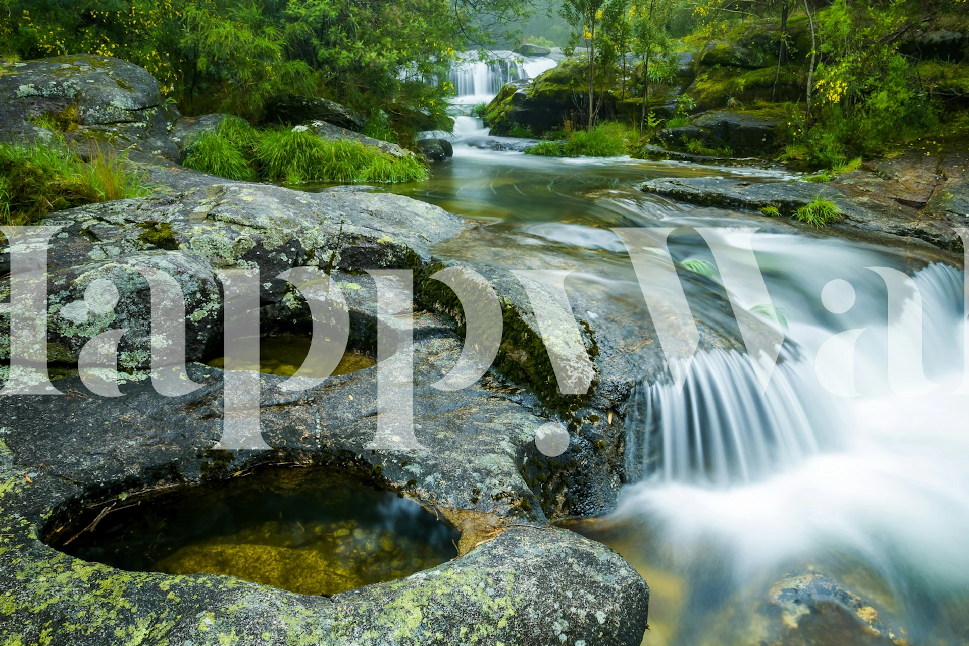 Layered Waterfall wallpaper in a room