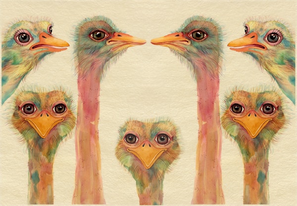 Vibrant Ostrich Gathering