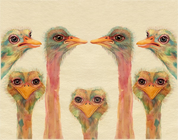 Vibrant Ostrich Gathering