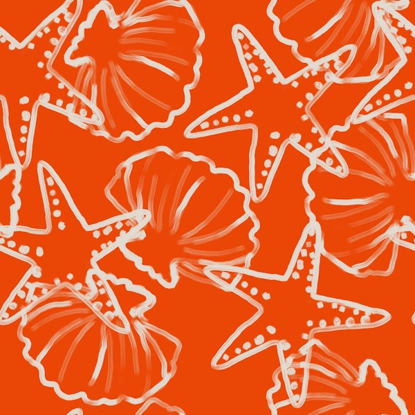 Coral Coast Shells Charm