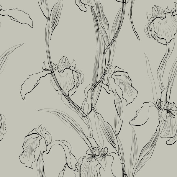 Minimalistic Orchids Floral Touch