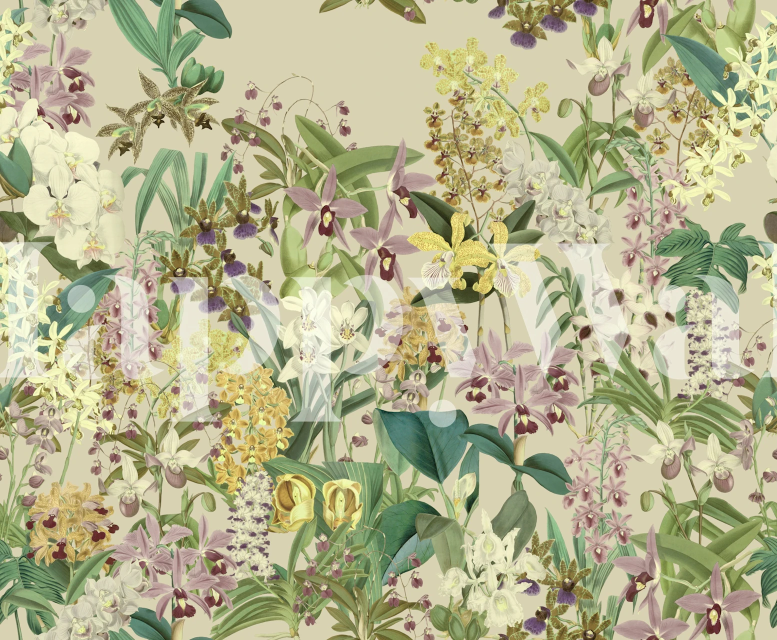 Orchid heaven wallpaper in a room