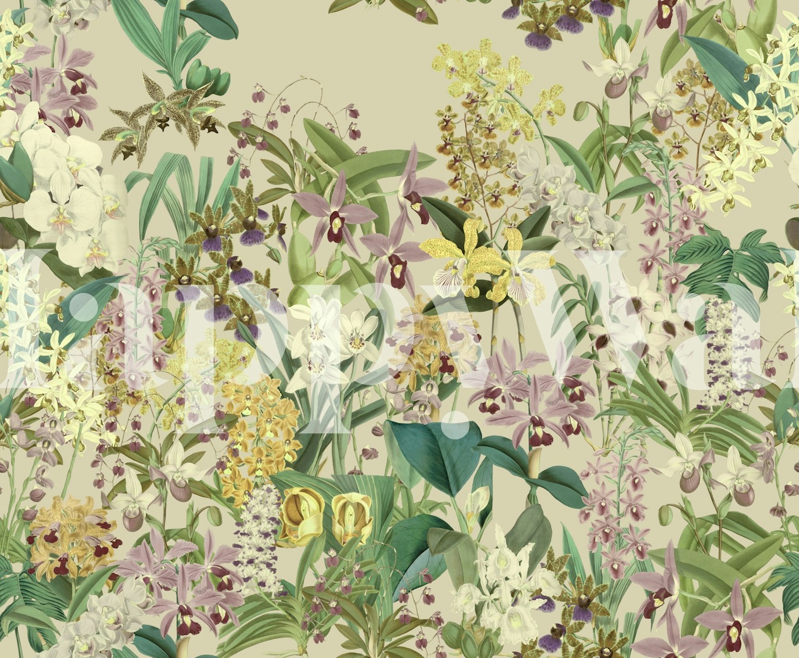 Orchid heaven wallpaper in a room