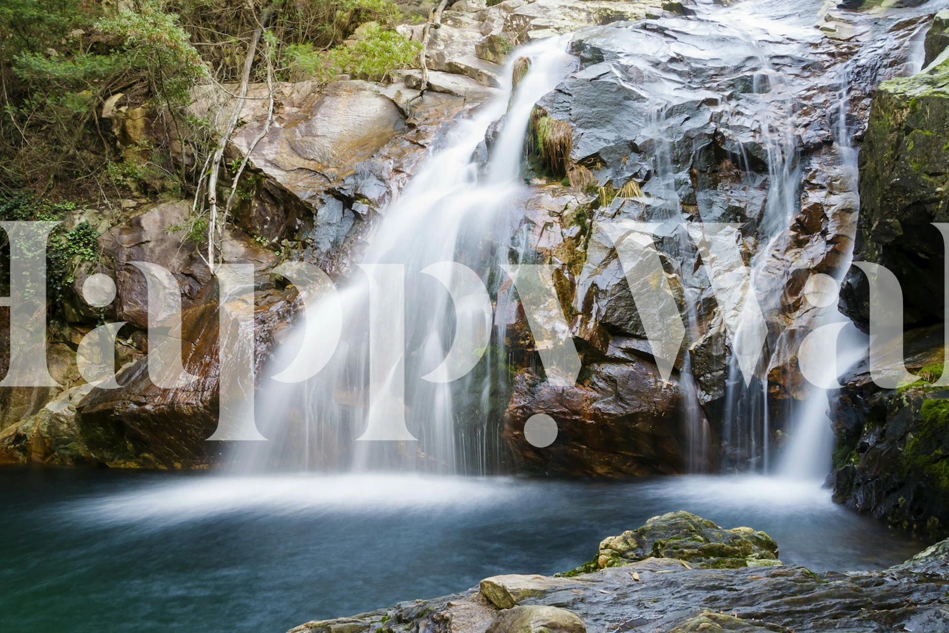 Forest Cascade tapet i ett rum