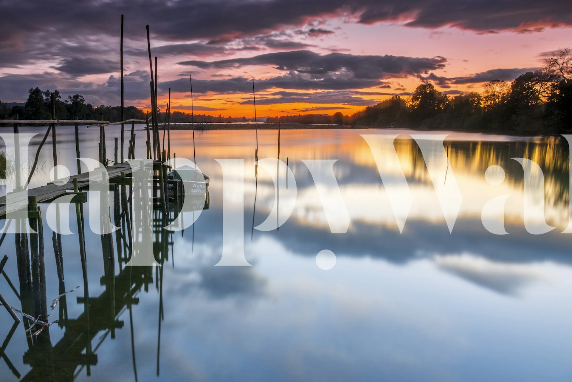 Sunset reflections wallpaper in a room