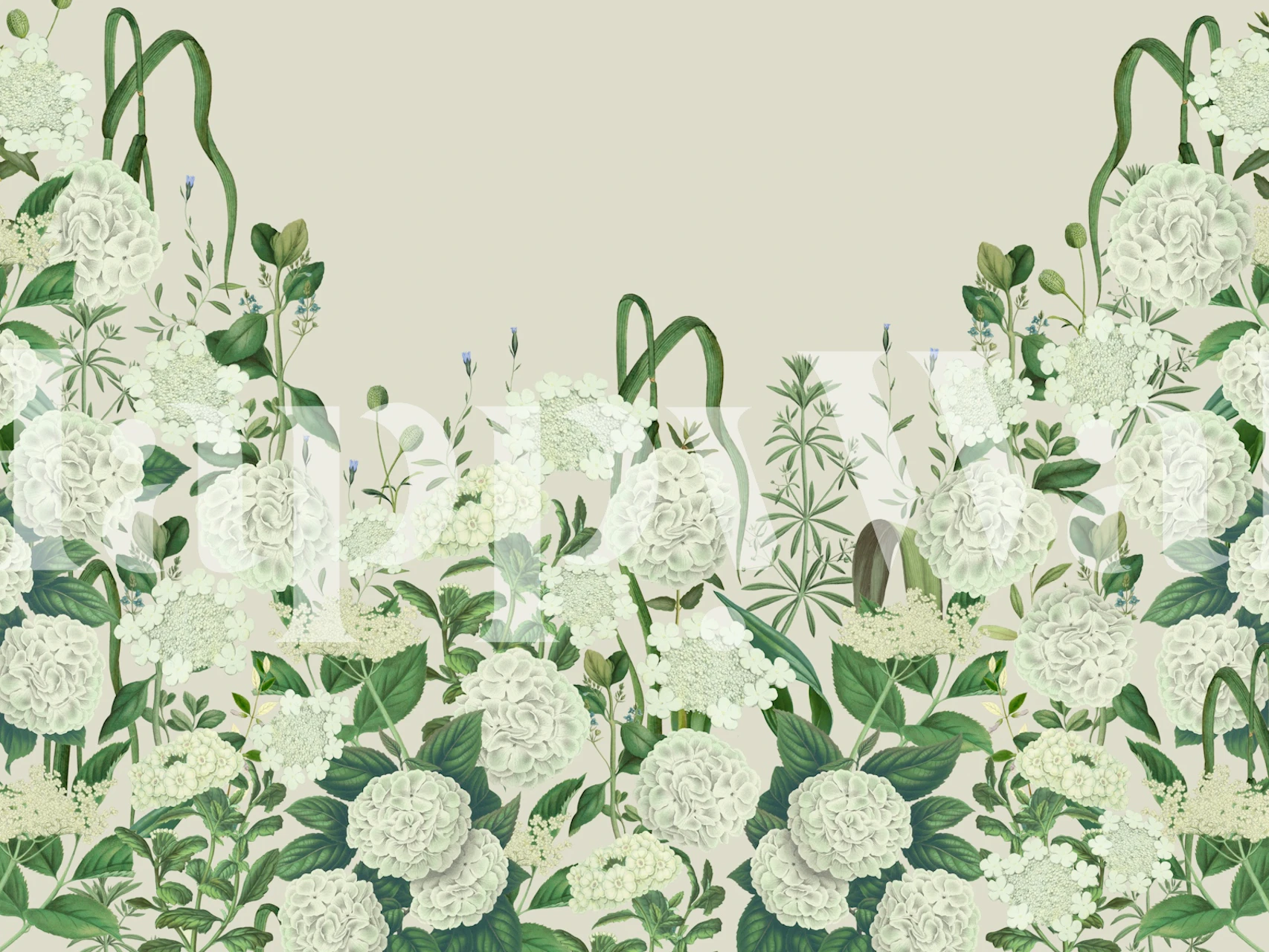 Floral hydrangea design with green foliage and soft beige background wallpaper