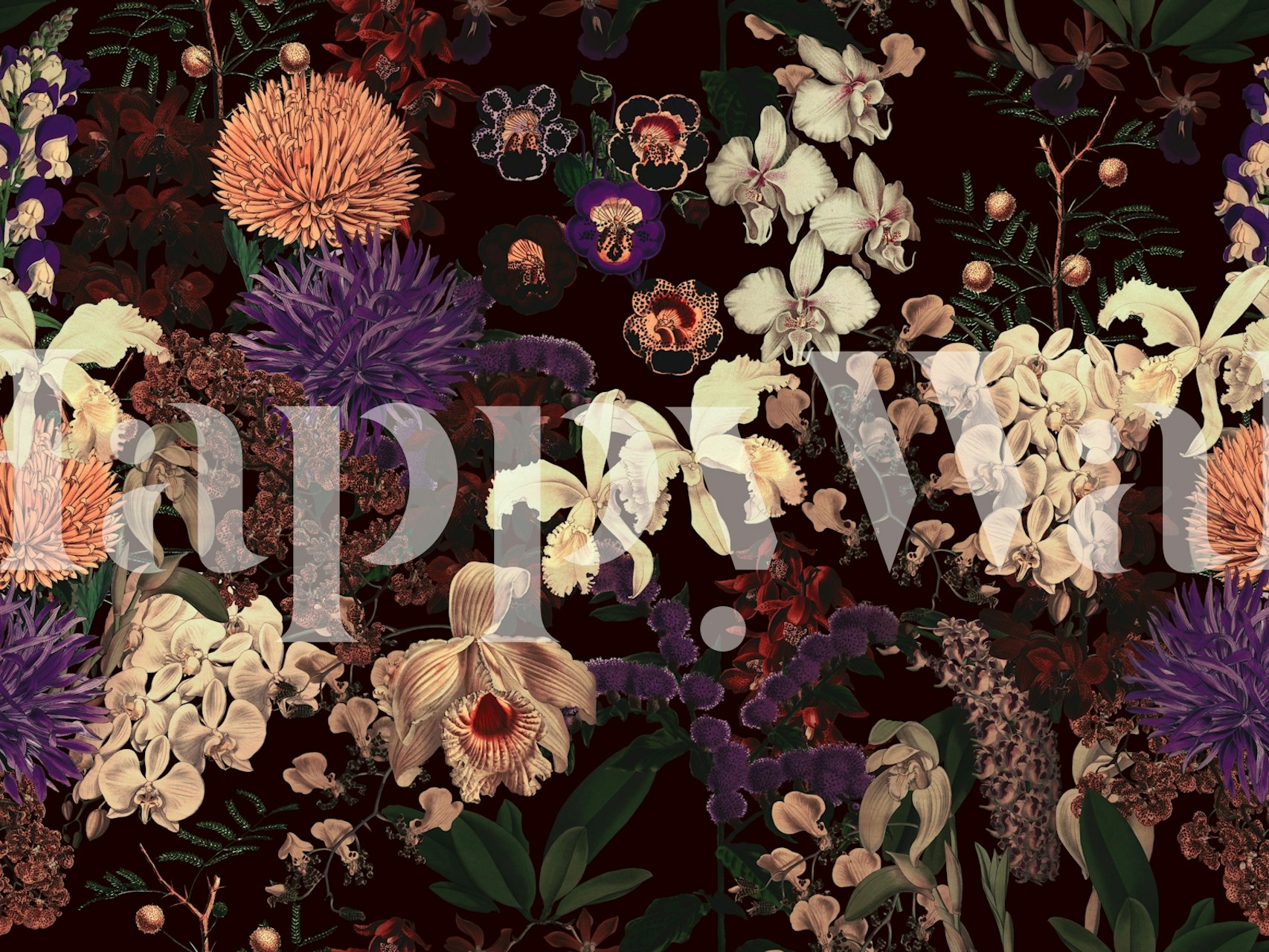 Colorful floral pattern with orchids and blooms on dark background wallpaper