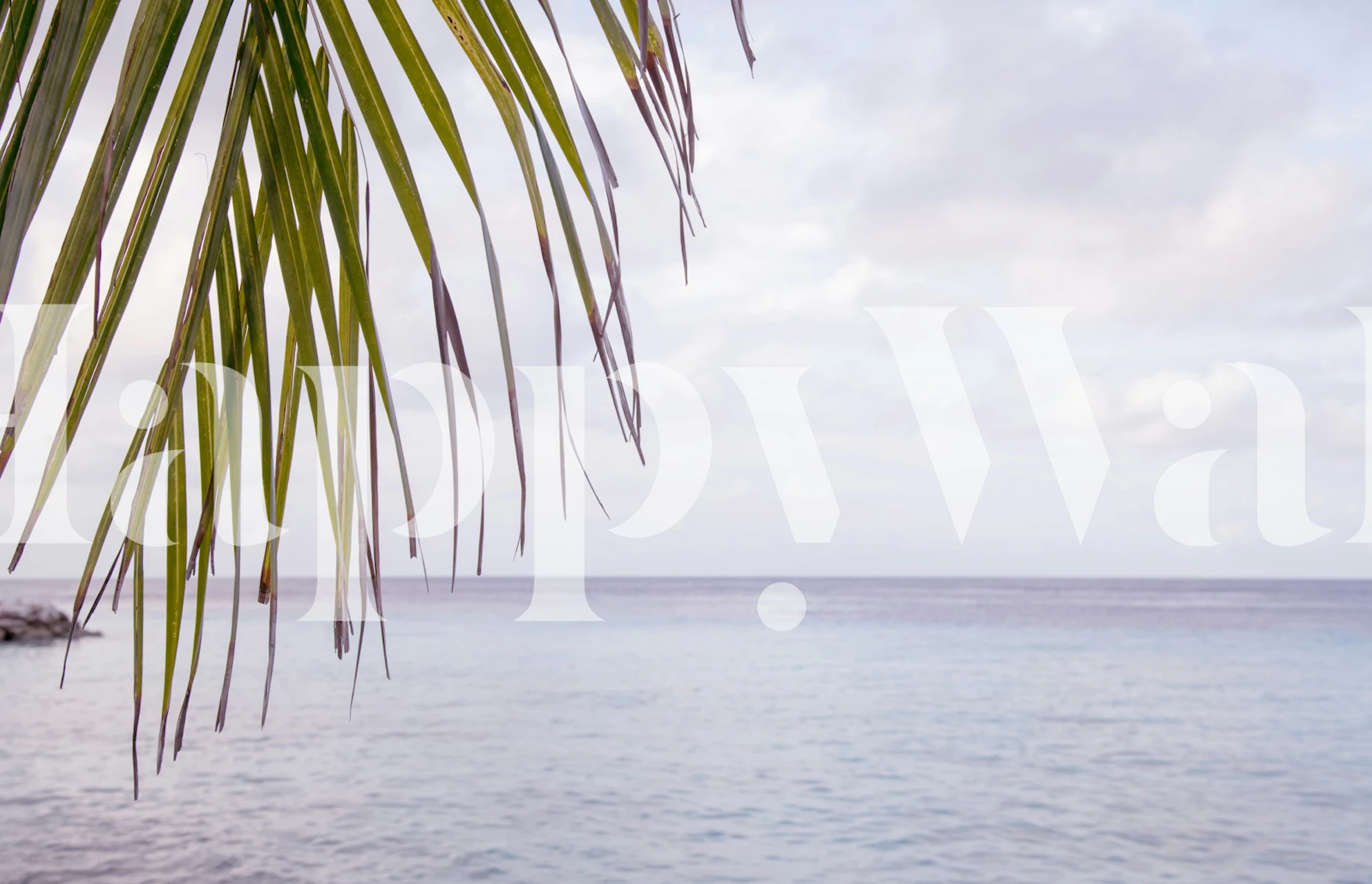 Caribbean sunset wallpaper with palm leaves