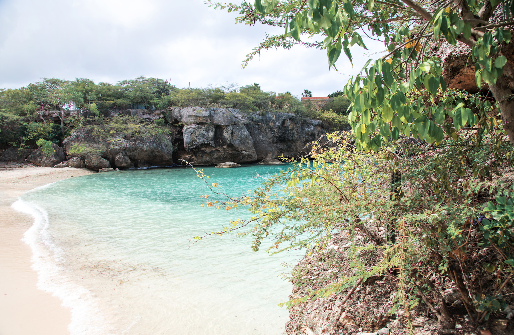 MerdesCaraïbes
