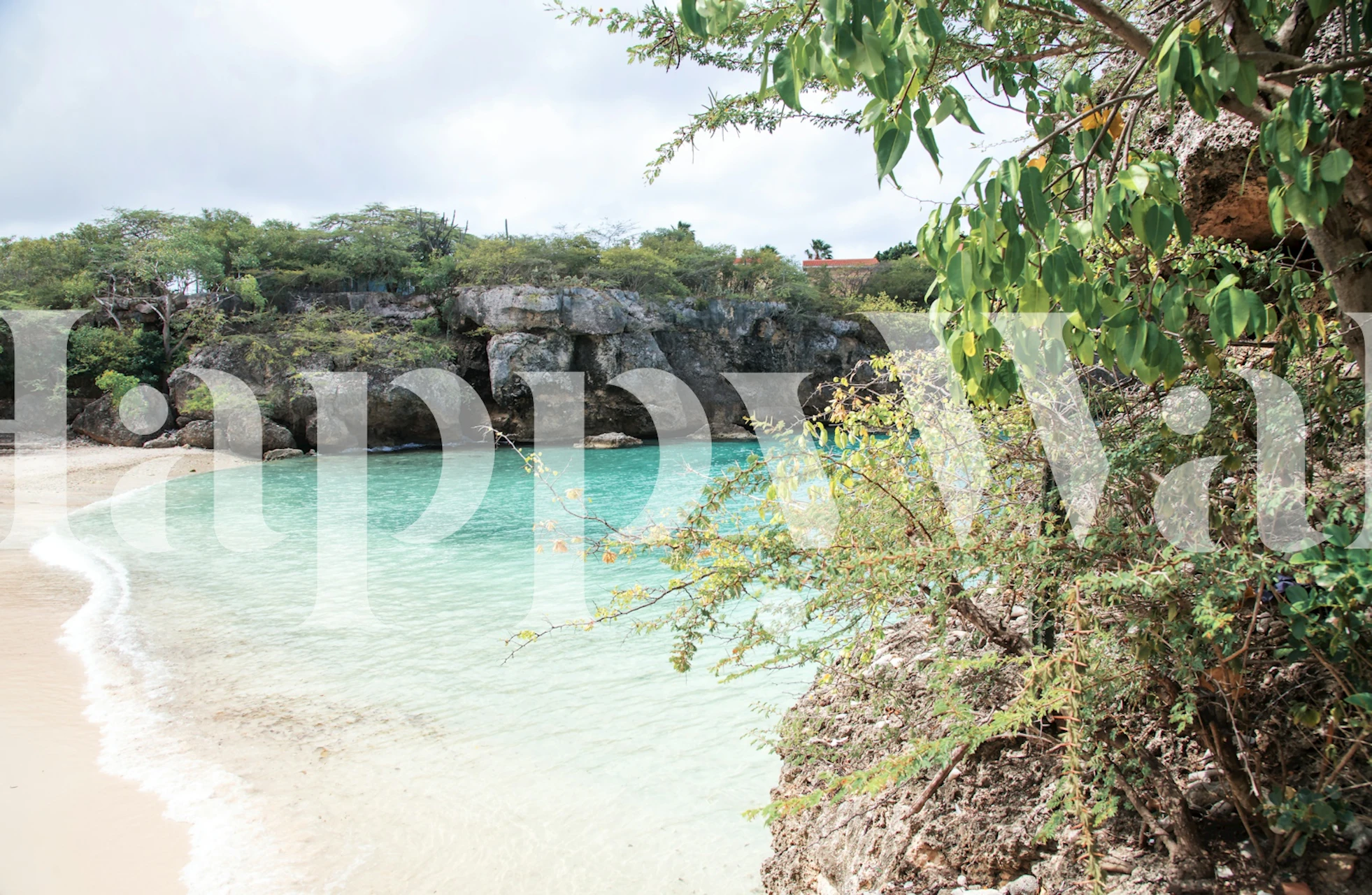 Playa Lagun Dream Tapete in einem Raum