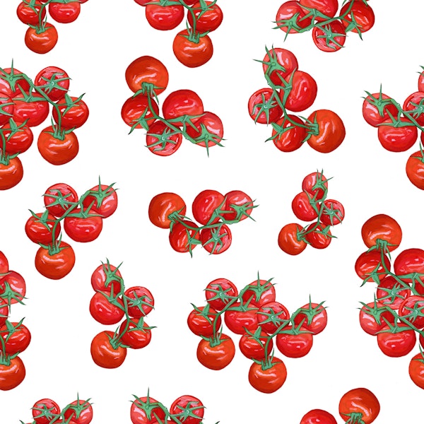 Tomato harvest bliss