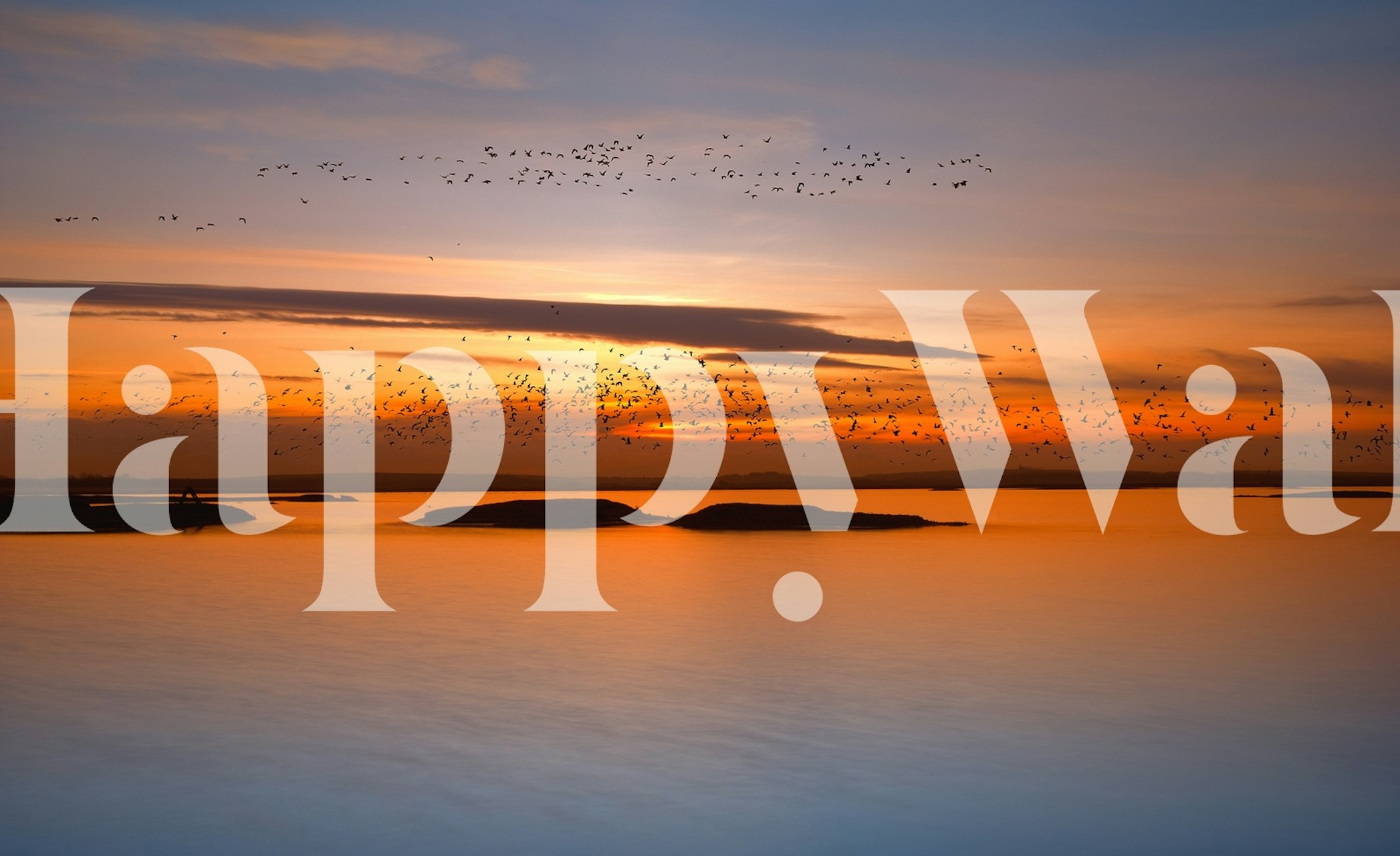 Sunset wallpaper with birds in a room setting