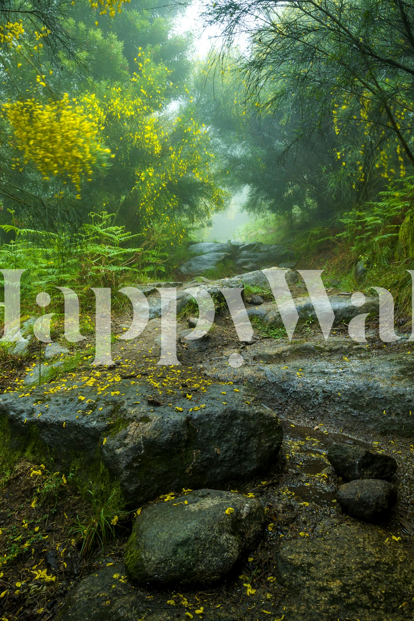 Misty woodland path with rocks and green ferns and yellow flowers wallpaper