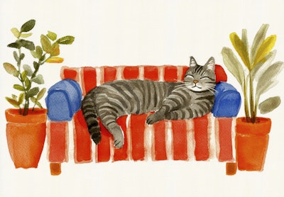 Muurschildering