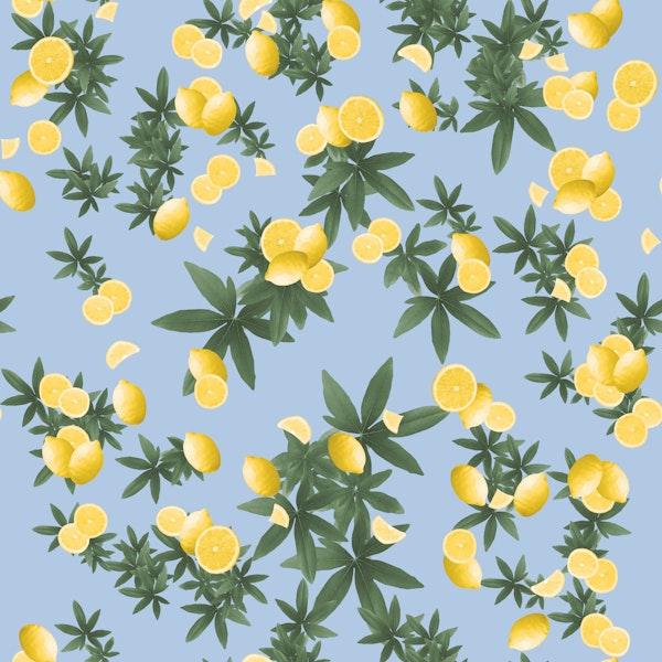 Amalfi Lemon Twist Vibes 1