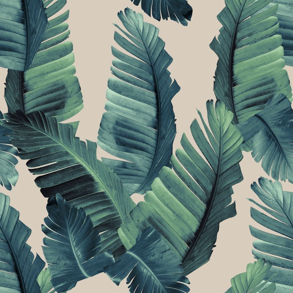 Banana Leaves Dream Pattern 1