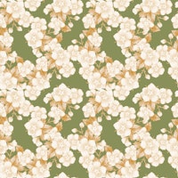 Krishna Kamal-Floral-5 papiers peint