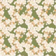 Krishna Kamal-Floral-5