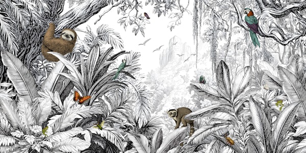 Jungle Vista - Black & White