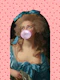 BubbleGum Woman Renaissance Meets Pop