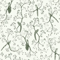 Tail Birds - Oliva papiers peint