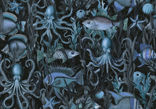 Deep Sea Mystic Underwater World Creatures