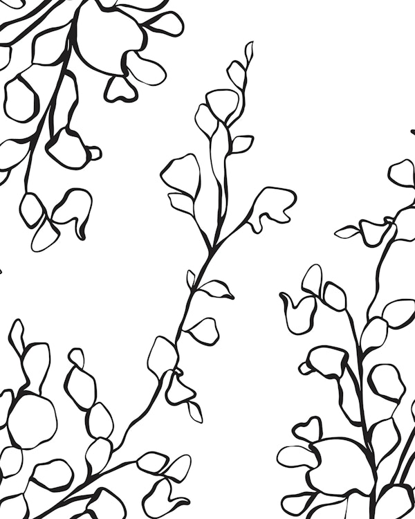 gentle outline flower mural 01