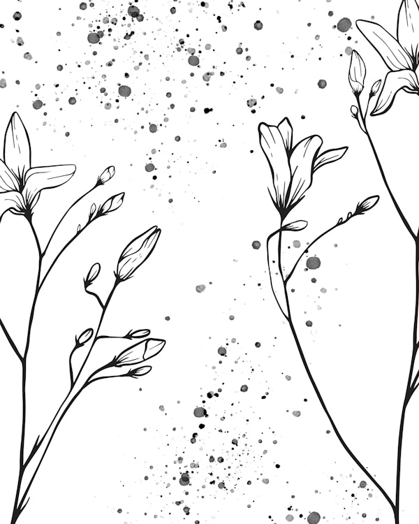 gentle outline flower mural 02