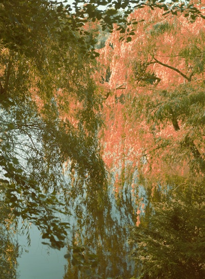 Mural