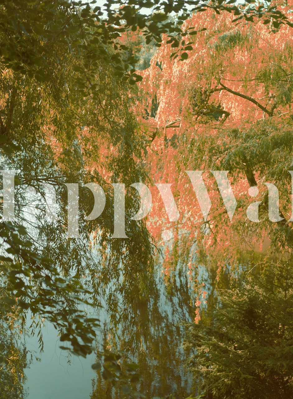 Obraz tapety Louisiana Lake and Trees in Autumn