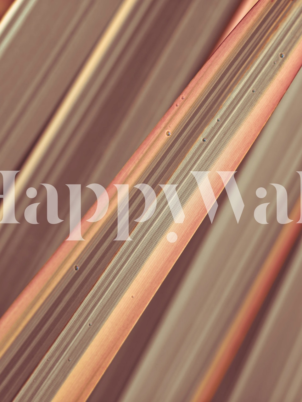 Full Frame leaves wallpaper in a room