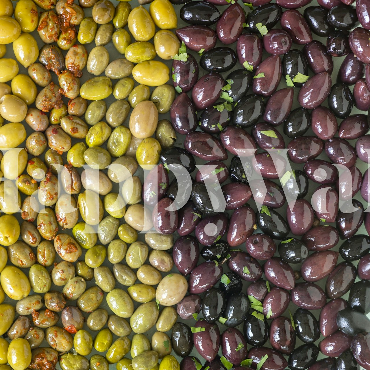 Varieties of olives wallpaper design