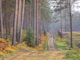 Serene Road Through Autumn Splendor