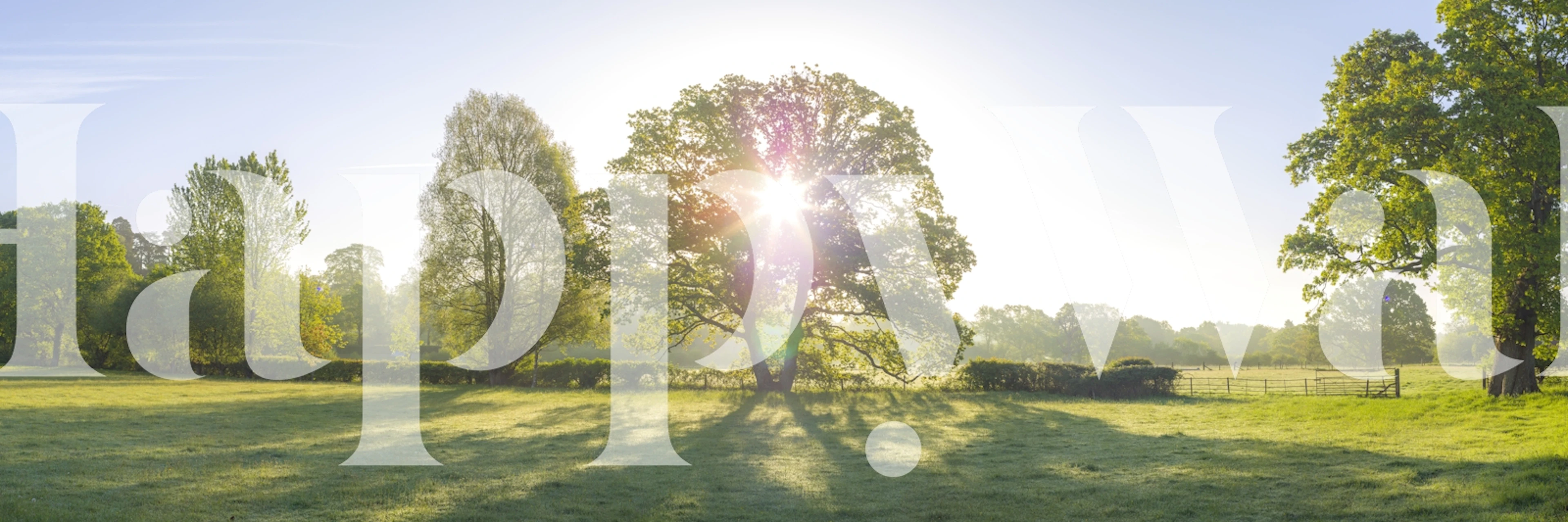 Bright nature wallpaper in a room