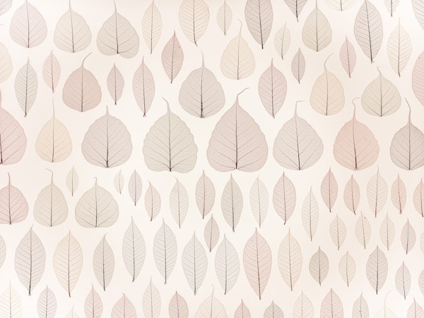 Rustic Leaf Collection