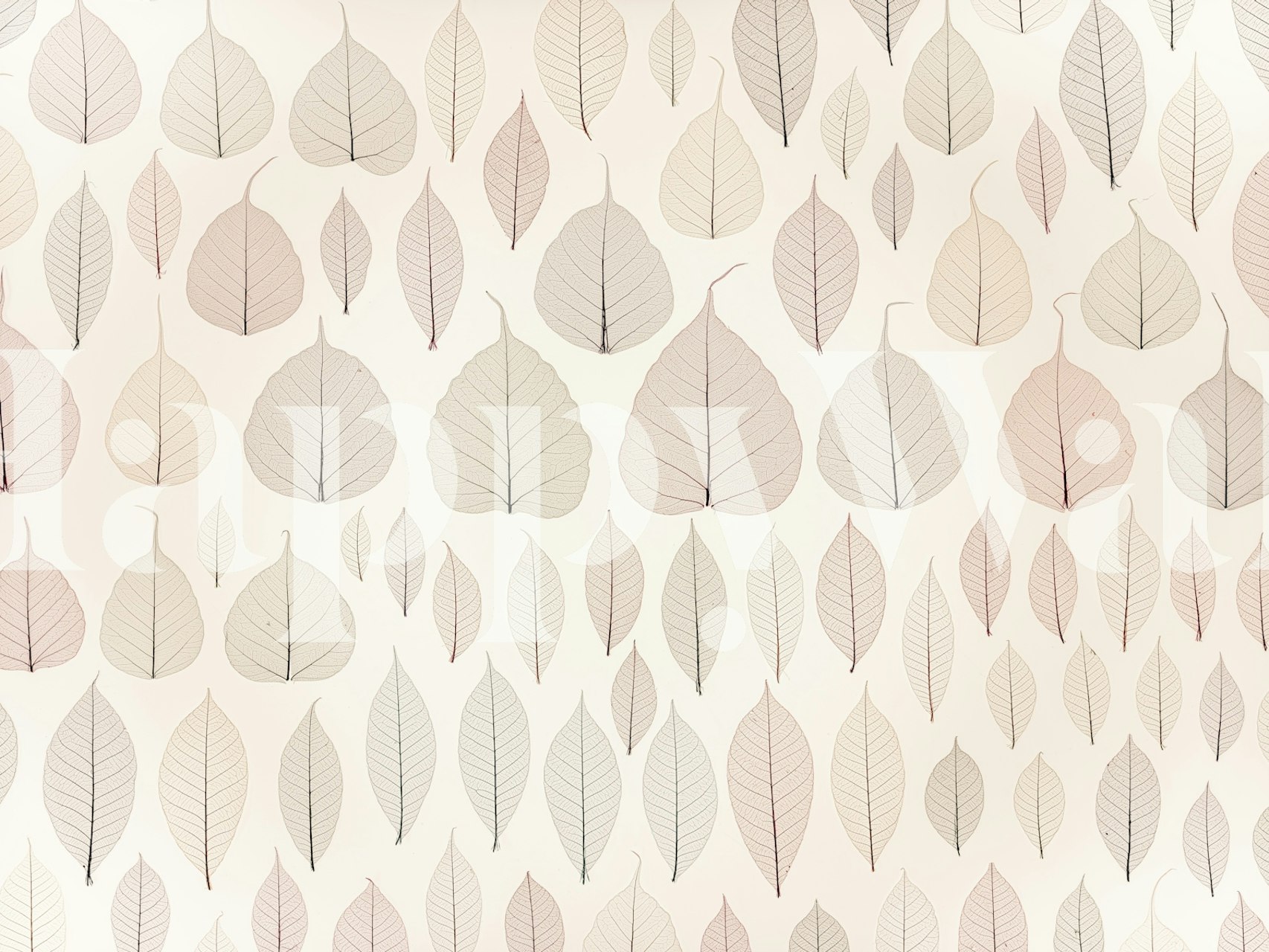 Soft pink leaves with thin outlines wallpaper