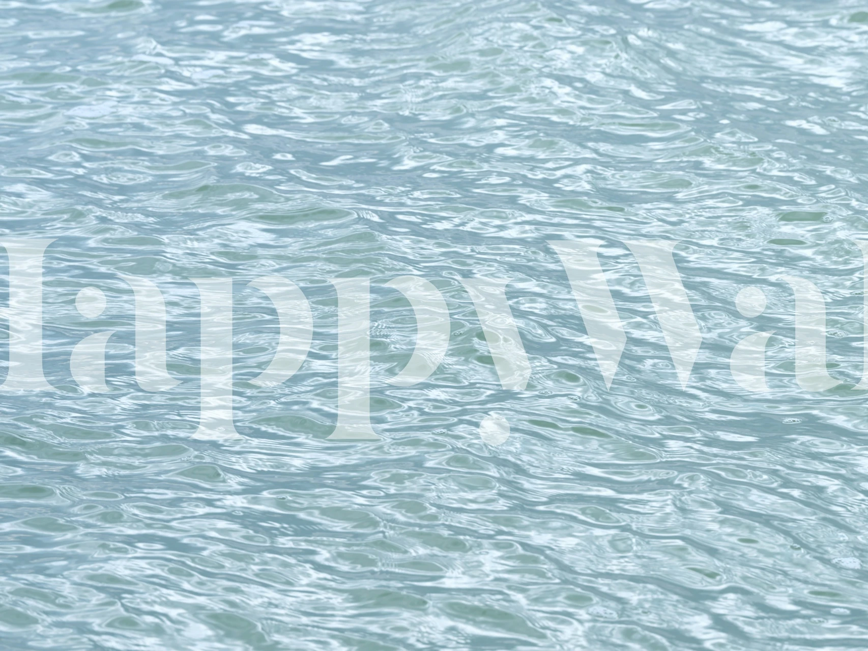 Water Surface wallpaper in a room