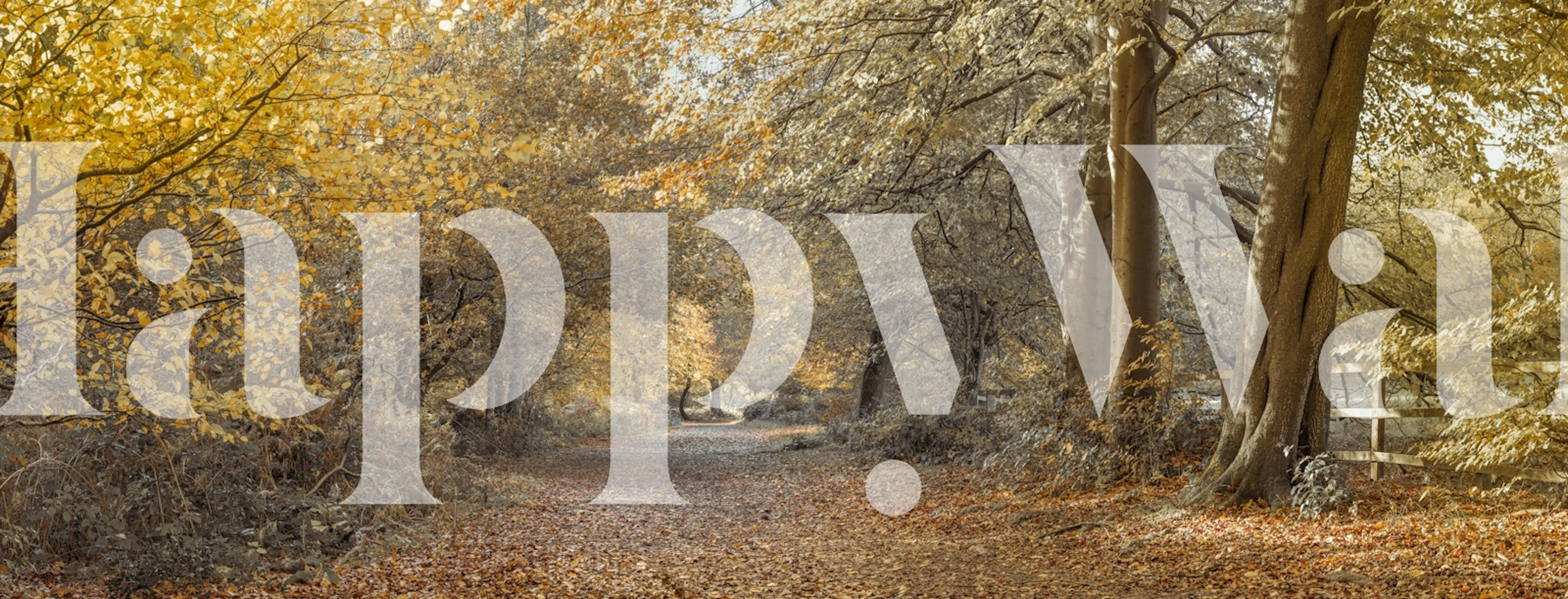 Autumn forest scene with golden leaves and winding path wallpaper